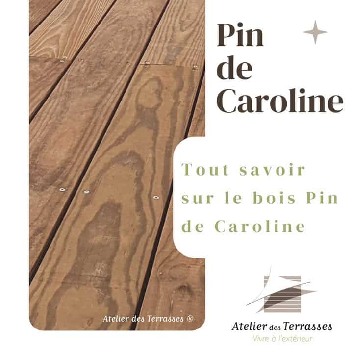 Pin de Caroline Le Pin de Caroline un bois 1 1068538535077631 - 🪵 Pin de Caroline Le Pin de Caroline, un bois...